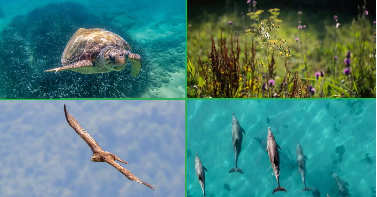 Ue, previsti tagli ai finanziamenti per il clima e la natura. L’Eeb: «Sono colpi al sostegno vitale dell’Europa»